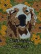 [Maria Linn-Evans Gilbert the Dog]
